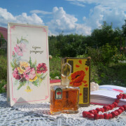 Красный Мак (Red Poppy Flower) Новая Заря (Novaya Zarya – The New