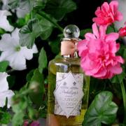 Equinox Bloom Penhaligon's perfume - a fragrance for