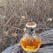 safari fragrantica