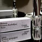 gentle fluidity gold fragrantica