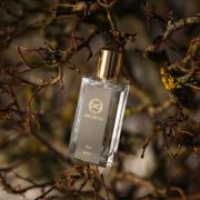 Photo by vitkovskaya