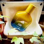 Photo by AndyWarholsFavouriteWig