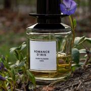 Romance d'Iris Zara perfume - a new fragrance for