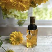 Eau du Matin Gianfranco Ferre perfume - a fragrance for
