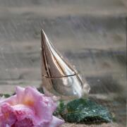 レア　ラプレリー　シルバーレイン　7,5ml x 2 silver r Silver Rain La Prairie - Etsy