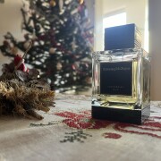 Indonesian Oud Eau de Toilette Ermenegildo Zegna cologne - a