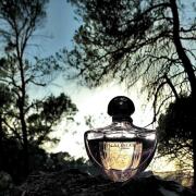 Guerlain Shalimar - Eau de Parfum - Parfumerie Mania