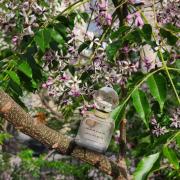 Photo by Лейка@@@