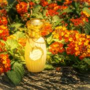 Photo by Bloodberry1