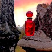 VivienneWestwood ヴィヴィアン　アングロマニア　EDP 50ml VivienneWestwood ヴィヴィアン アングロマニア EDP 50ml