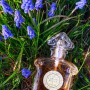 Photo by Svat&aacute;Alžběta