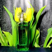 Un Jardin Sur Le Toit Hermès perfume - a fragrance for women and men 2011