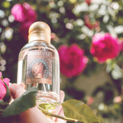 Moment Volé Fragonard perfume - a fragrance for women 2013
