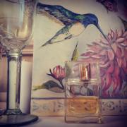 Photo by Vetivernoir