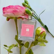 Rose Blush Cologne (2023) Jo Malone London 香水- 一款2023年