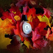 L'Eau Eau de Toilette Diptyque perfume - a fragrance for women and