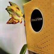 Photo by RevaFearstine