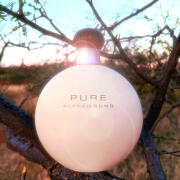 Photo by Abby Normal