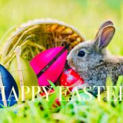 Photo by AndyWarholsFavouriteWig