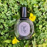 Vetyverio Eau de Toilette Diptyque perfume - a fragrance for women 