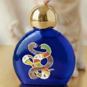 Niki de Saint Phalle Niki de Saint Phalle perfume - a fragrância