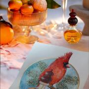 Photo by Лейка@@@