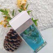 Light Blue Italian Love Dolce&Gabbana perfume - a new fragrance for ...
