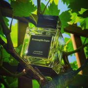 Zegna javanese discount patchouli fragrantica