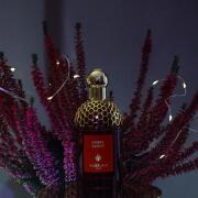 Ambre Samar Guerlain perfume - a new fragrance for women and men 2025