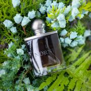 Norne Slumberhouse perfume - a fragrance for women and men 2012