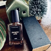 Turmeric Latte Perfume Lush perfume - a fragrância Compartilhável 2019