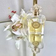 Photo by cerise ingenue