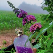 Vanilla Candy Rock Sugar | 42 Kayali Fragrances perfume - a