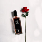 香水(女性用) Serge Lutens Santal Majuscule 50ml Amazon.com : SERGE LUTENS SANTAL MAJUSCULE by Serge Lutens
