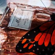 Photo by VeroMikaela