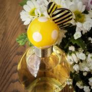 Photo by IRRAsistible