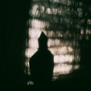 Photo by fabrice1977