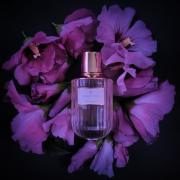 Photo by fabrice1977