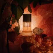 Photo by fabrice1977