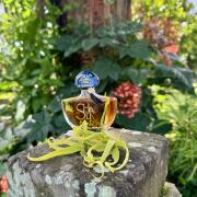 Photo by HelenRainbow