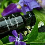 Le Solstice Moncler perfume - a new fragrance for women and