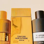Perfume Ego 196 Referência Olfativa Noir Extreme Tom. F 110ml no Shoptime