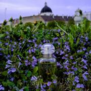 Le Jardin de Monsieur Li Hermès perfume - a fragrance for