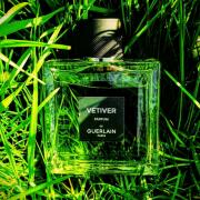 Vetiver Parfum Guerlain cologne - a new fragrance for men 2024