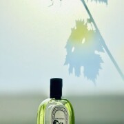 Philosykos Eau de Toilette Diptyque аромат - аромат для жінок та
