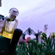 HERMES LE JARDIN DE MONSIEUR LI 李氏の庭 Le Jardin de Monsieur Li Hermès perfume - a fragrance for