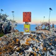 Baraonda Nasomatto perfume - a fragrance for women and men 2016 Baraonda Nasomatto perfume - a fragrance for women and men 2016