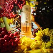 Photo by fabrice1977