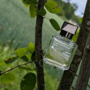 Masculin Pluriel Maison Francis Kurkdjian Colônia - a fragrância