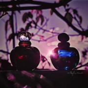 Midnight Poison Dior perfume - a fragrance for women 2007